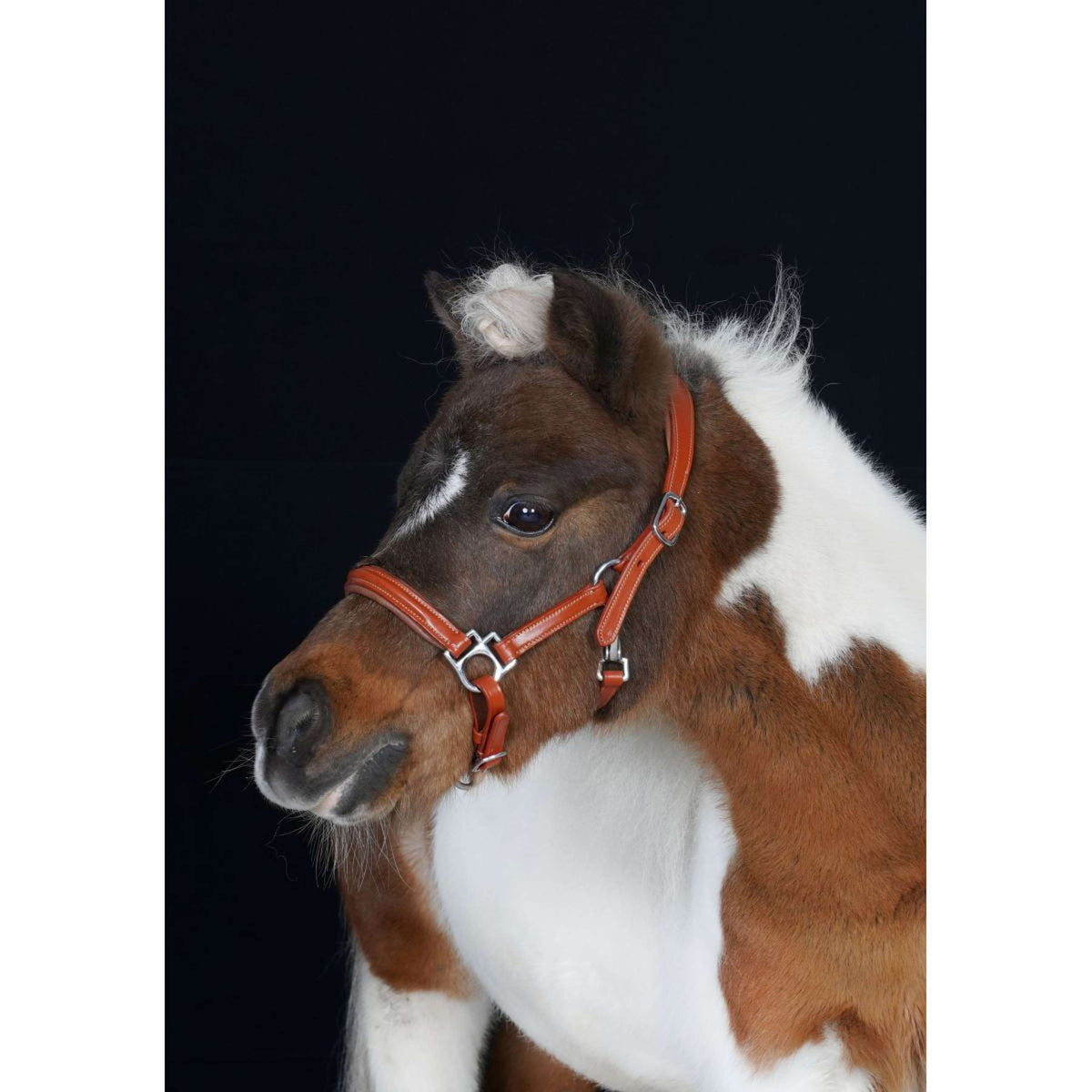 HB Cabezada Showtime Little Sizes Cognac/Cognac