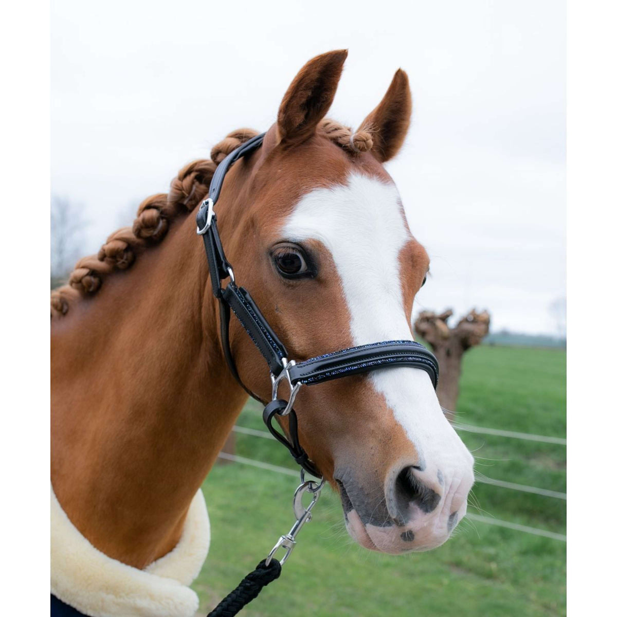 HB Cabezada Showtime Glitty Little Sizes Negro/Azul Marino Brillo