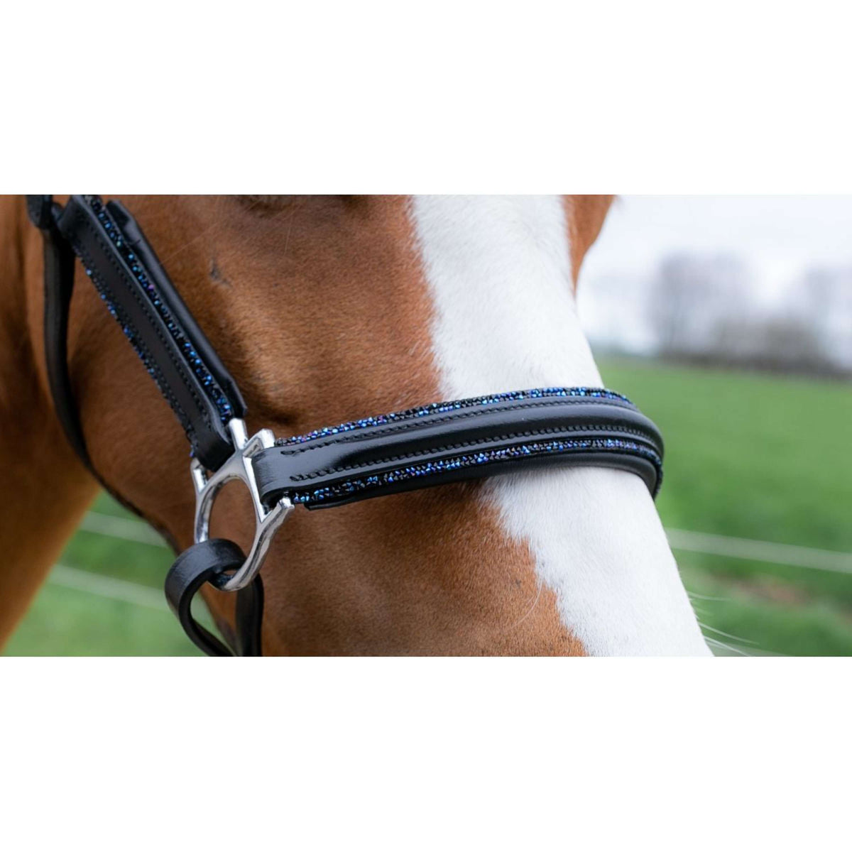 HB Cabezada Showtime Glitty Little Sizes Negro/Azul Marino Brillo