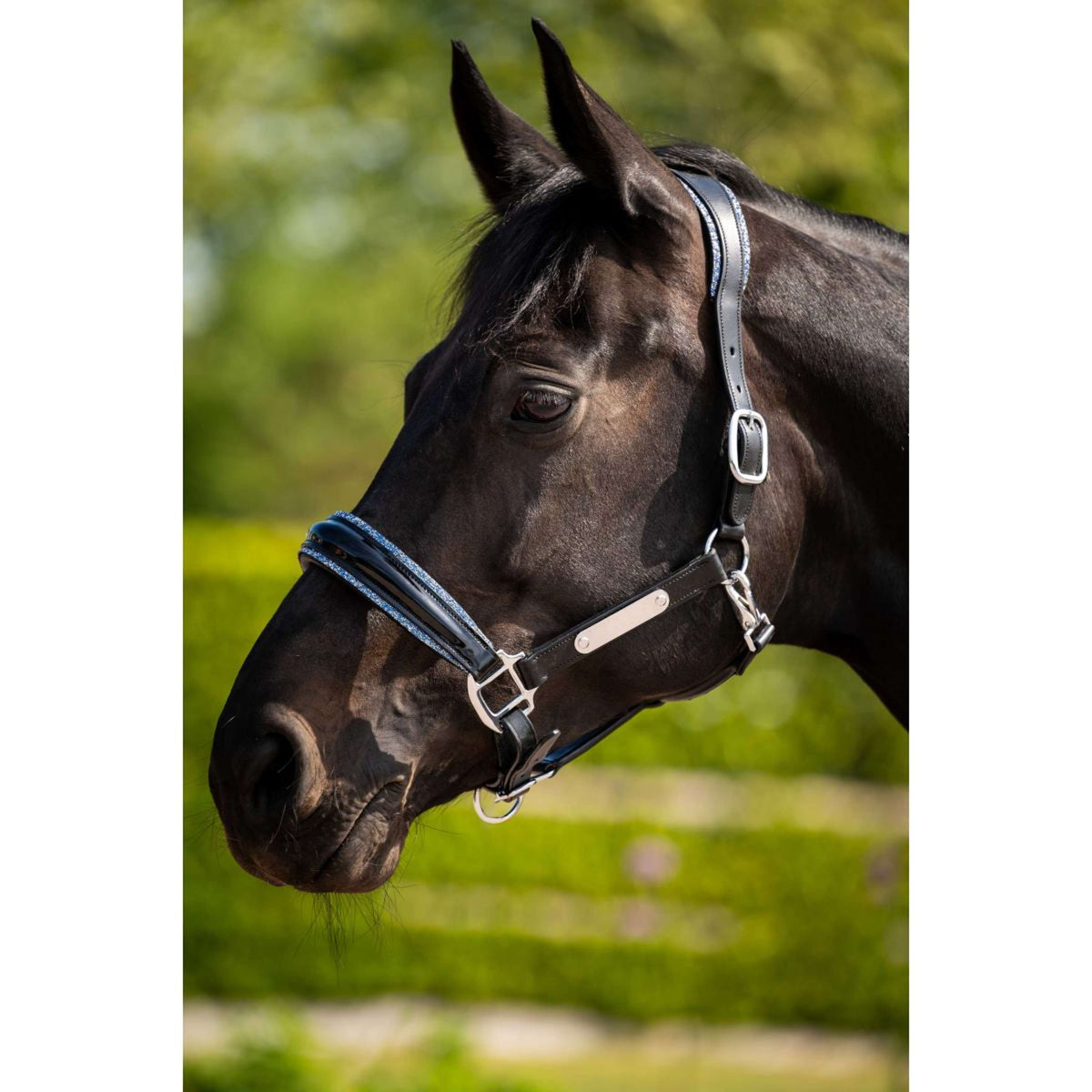 HB Ruitersport Cabestro Showtime Grand Slam Negro/Aqua Blue