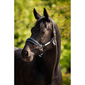 HB Ruitersport Cabestro Showtime Grand Slam Negro/Aqua Blue