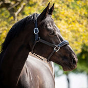 HB Ruitersport Cabestro Showtime Grand Slam Negro/Plata