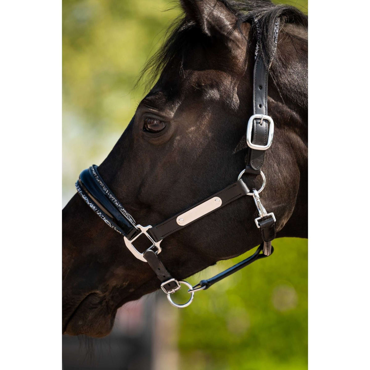 HB Ruitersport Cabestro Showtime Grand Slam Negro/Plata