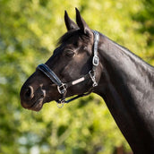 HB Ruitersport Cabestro Showtime Grand Slam Negro/Plata