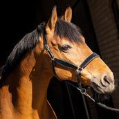 HB Cabezada Wisconsin Negro/Plata