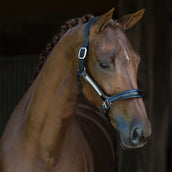 HB Cabezada Lorenzo Cuero Negro