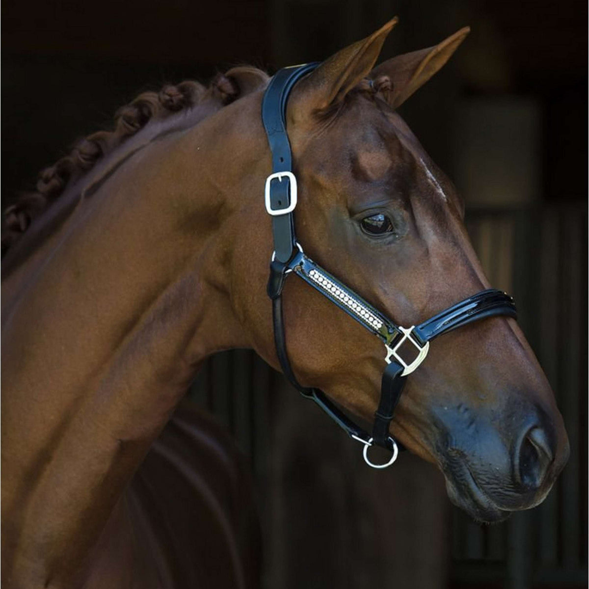 HB Cabezada Lorenzo Cuero Negro