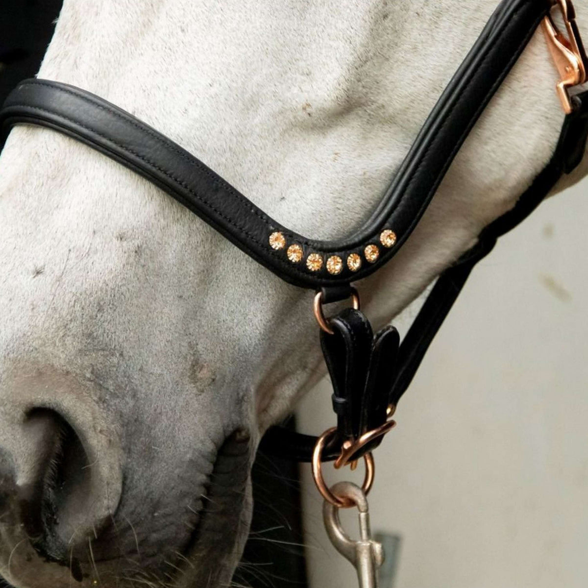 HB Cabezada Anatomic Marron