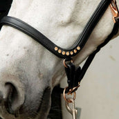 HB Cabezada Anatomic Marron