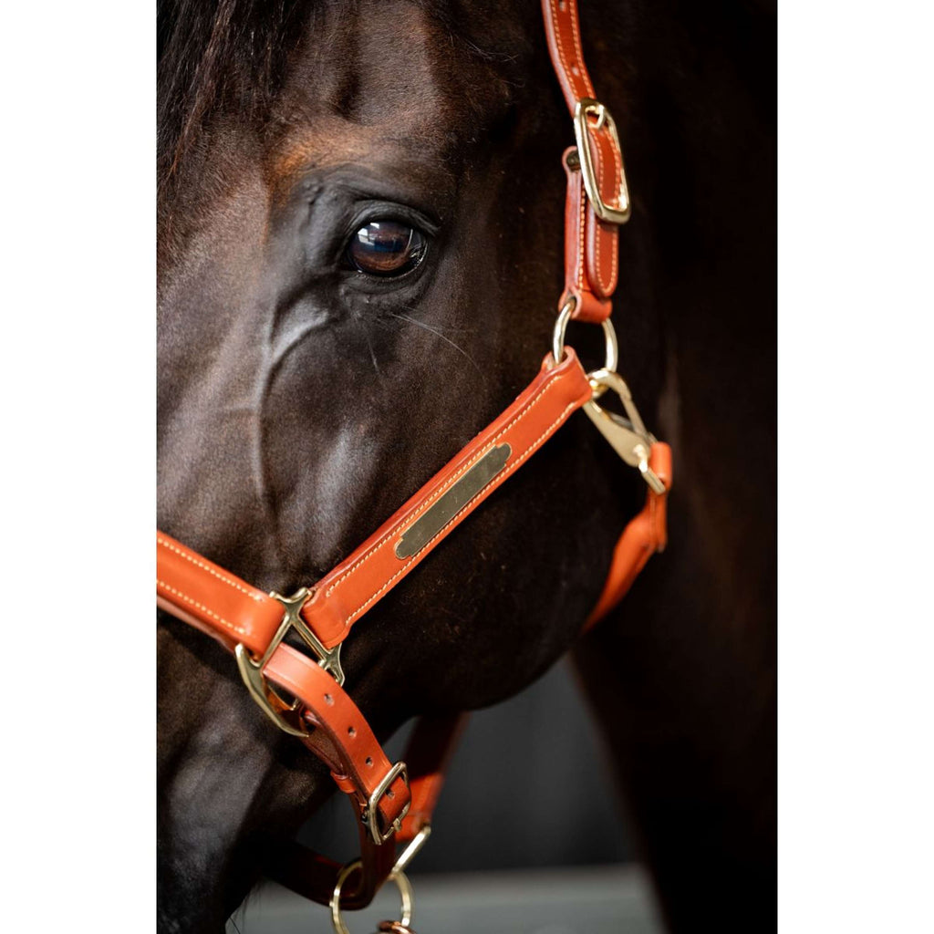 HB Cabestro Name Cognac