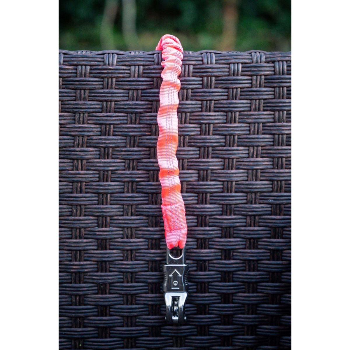 HB Cuerda de amarre Trailer/Stable Elastic Rosa