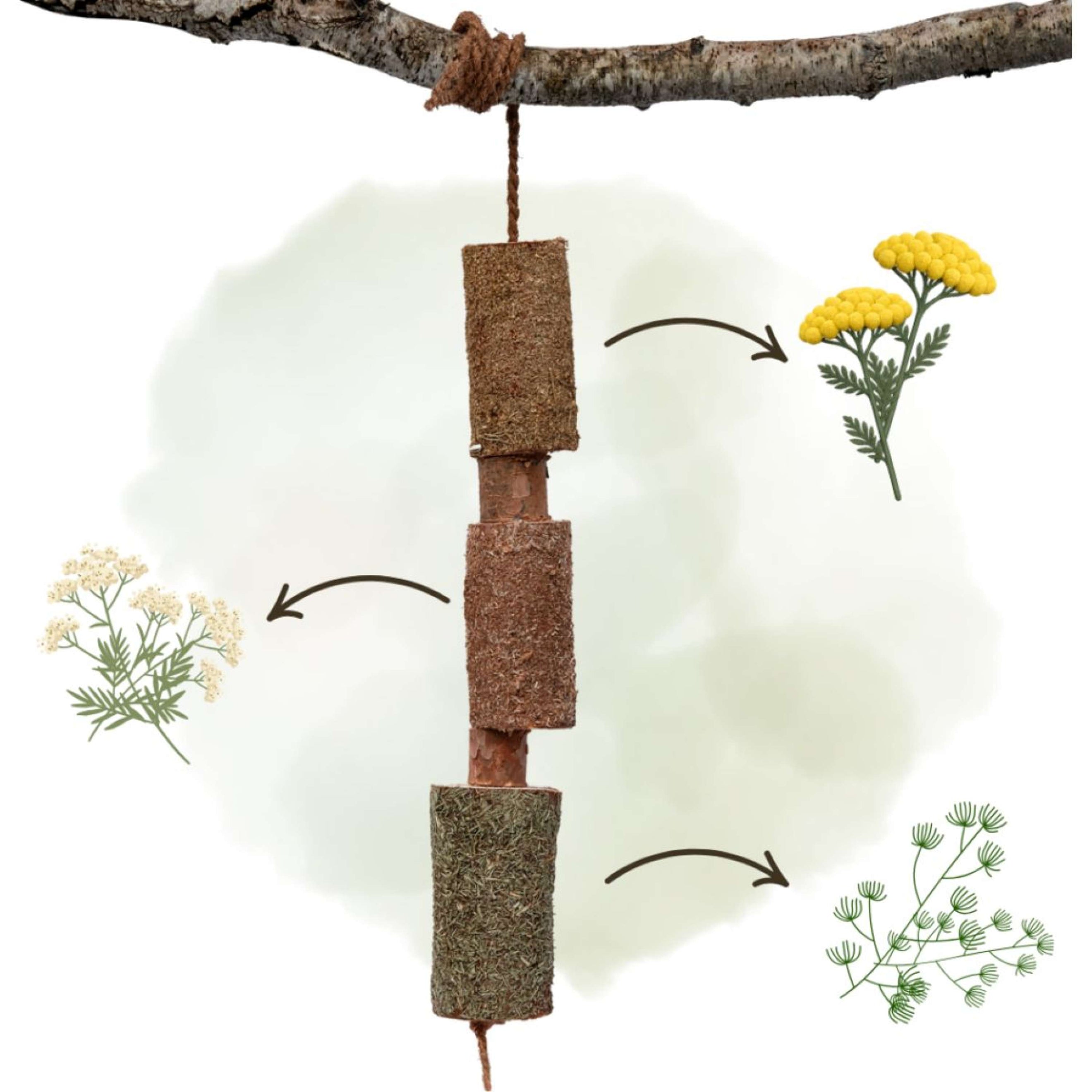 Herbie Juguete de madera a base de hierbas Calm Herbie Juguete de madera a base de hierbas Calm