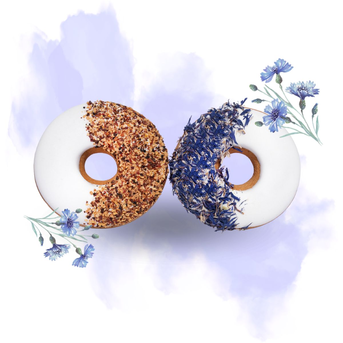 Candy Horse Donut Cornflower/Rosehip