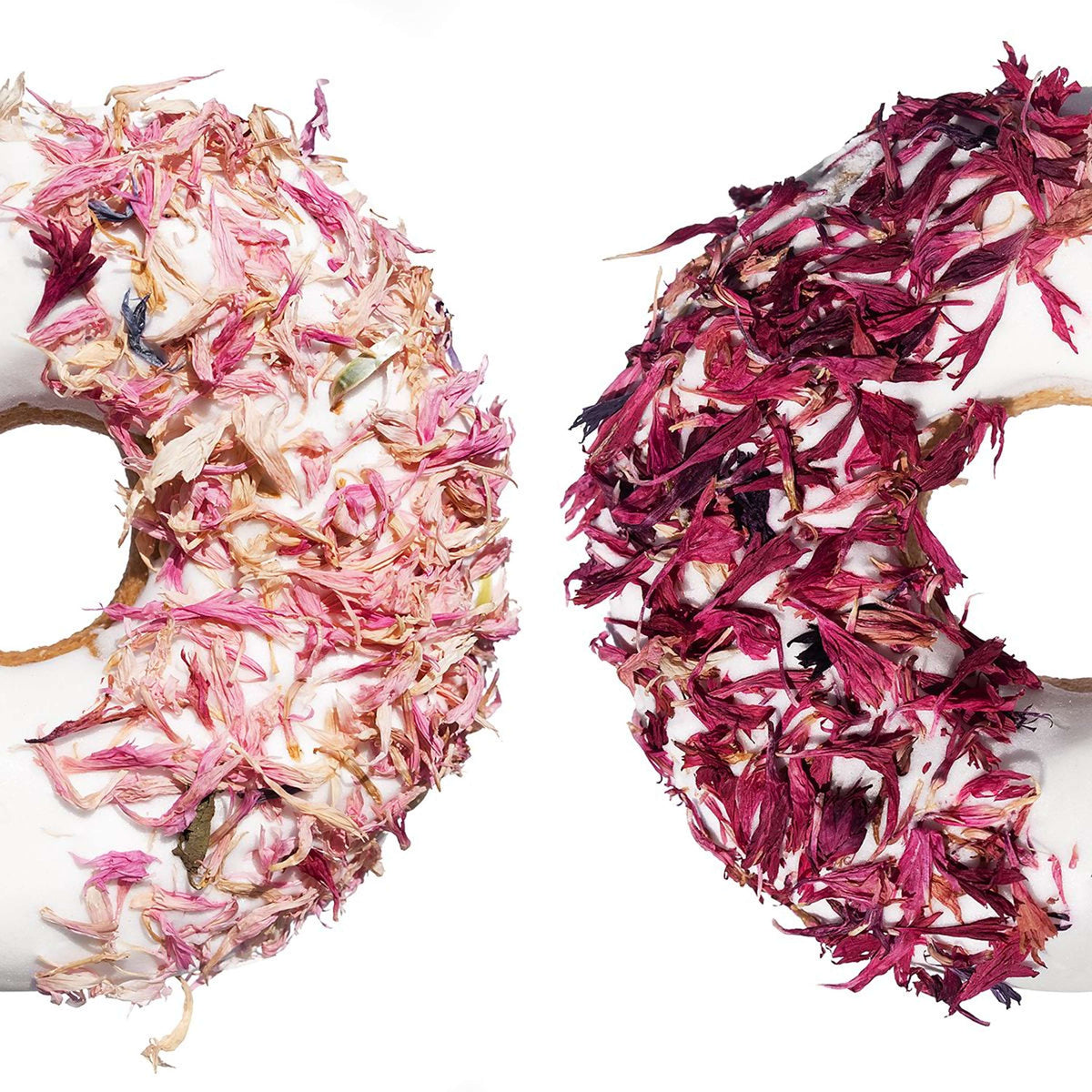 Candy Horse Donut Pink Cornflower