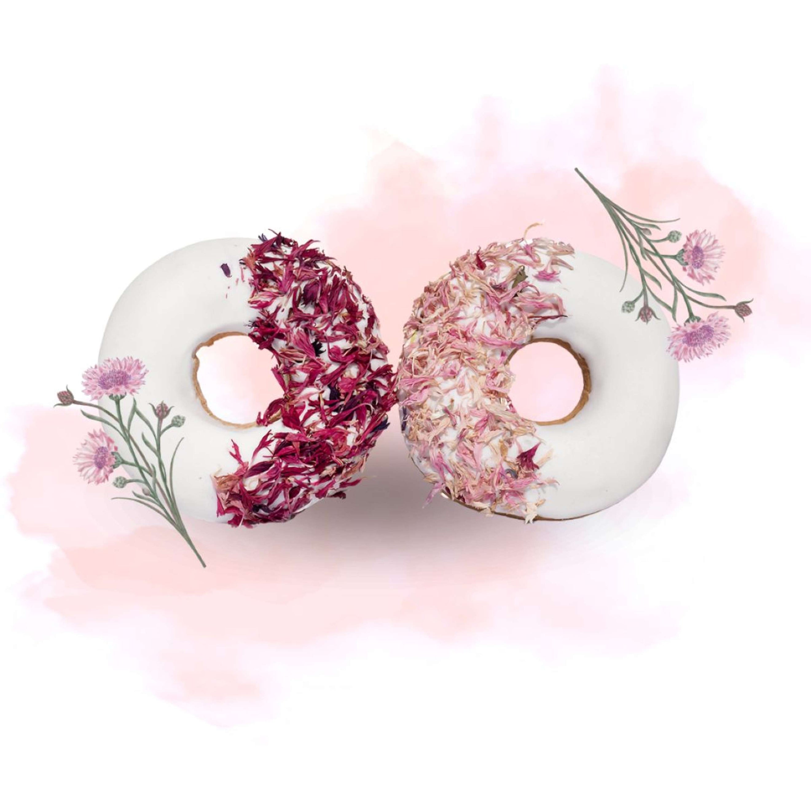 Candy Horse Donut Pink Cornflower Candy Horse Donut Pink Cornflower