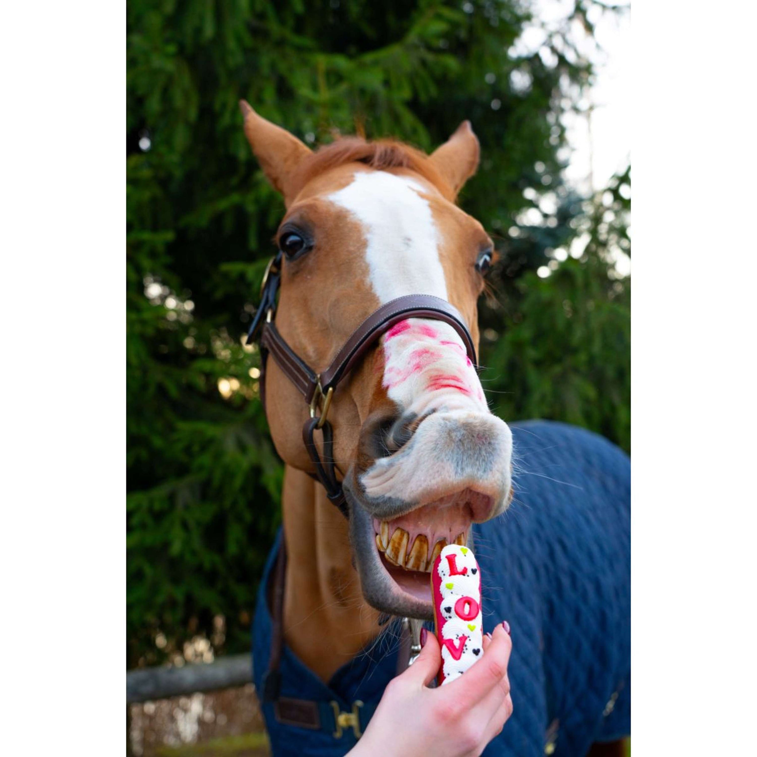 Candy Horse Love Galletaa Eclair Icing Candy Horse Love Galletaa Eclair Icing