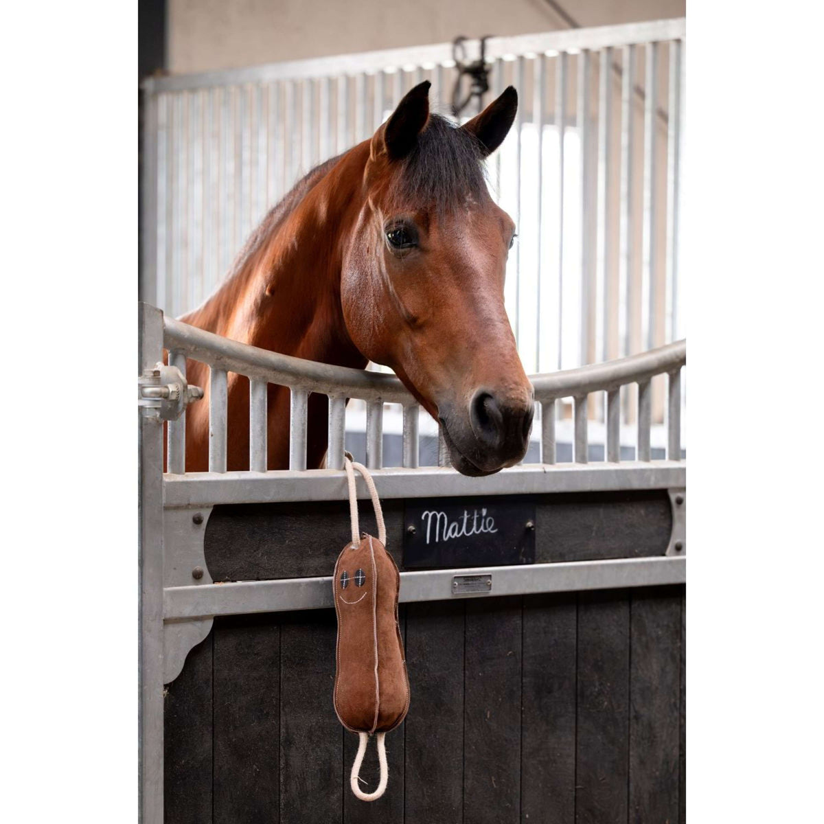 HB Juguetes Mr. Beanie Marron