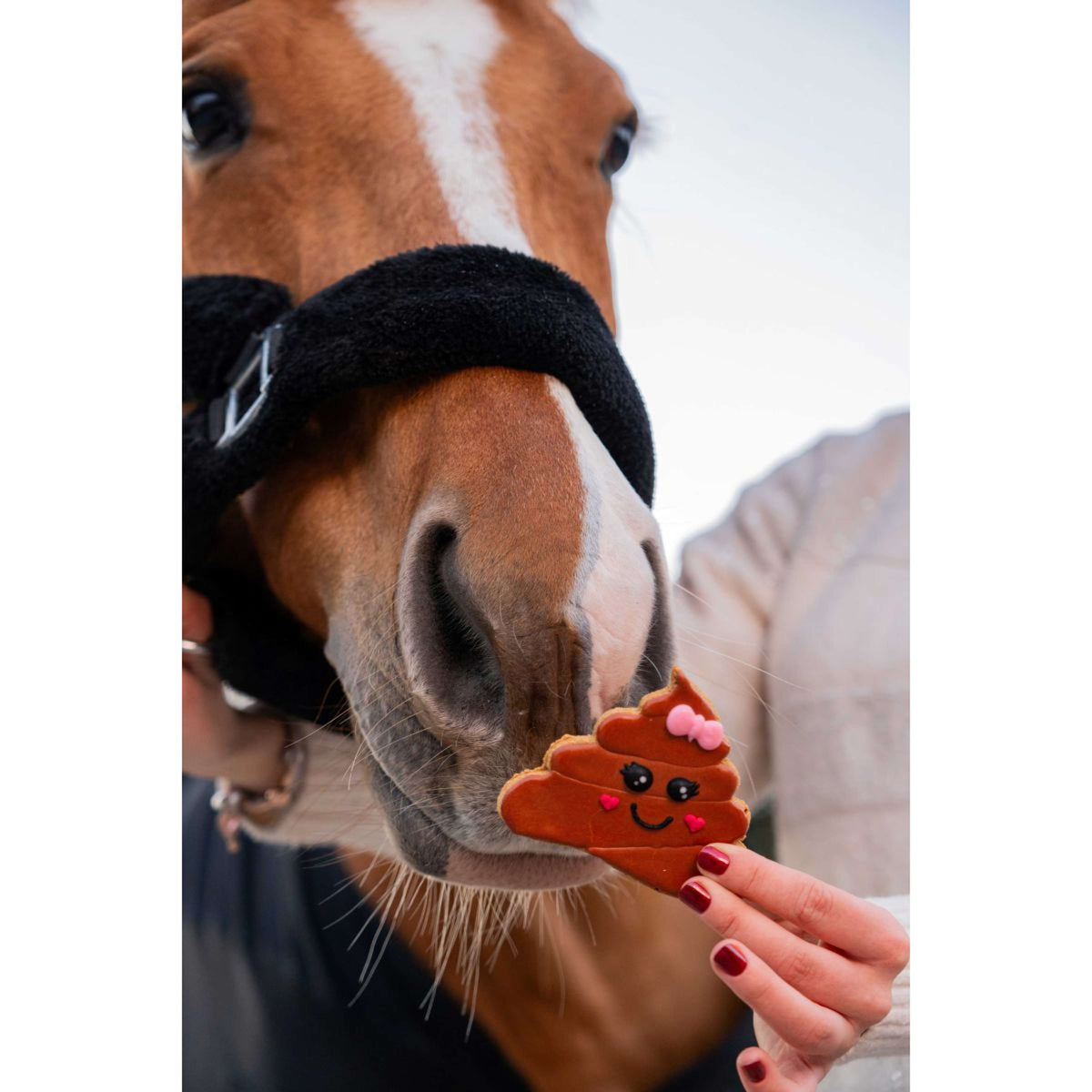 Candy Horse Love Set of Cookies Set 2