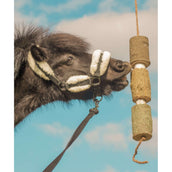 Herbie Juguete de madera a base de hierbas Regeneration