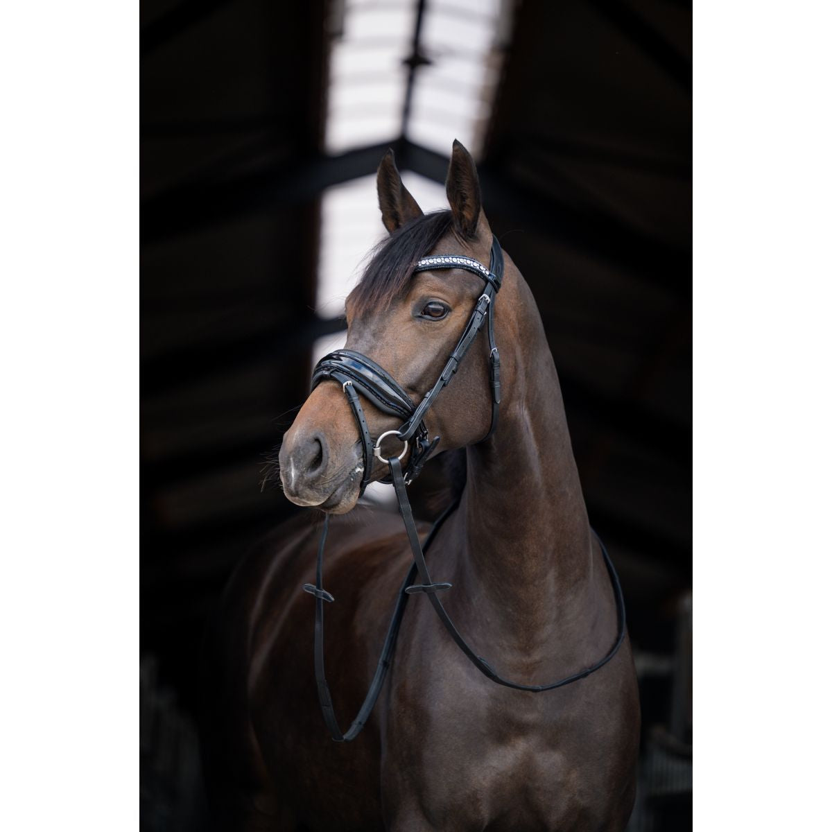 HB Brida Showtime Stockholm Negro/Negro