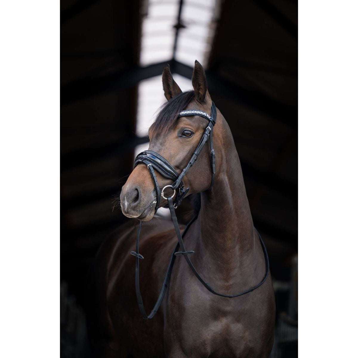 HB Brida Showtime Stockholm Negro/Negro