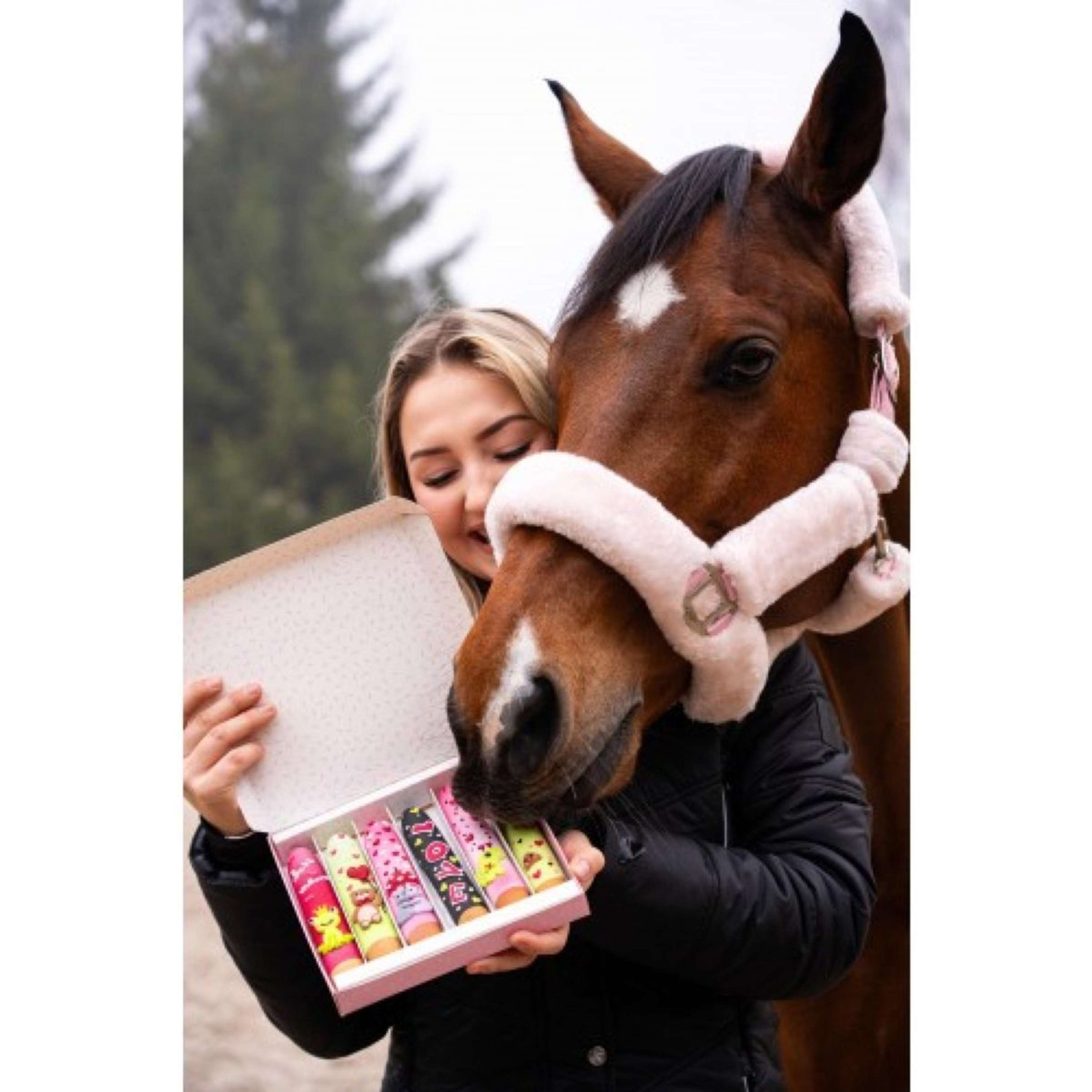 Candy Horse Love Galletaa Icing Sticks