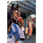 Candy Horse Love Juguete para Masticar Vol Liefde