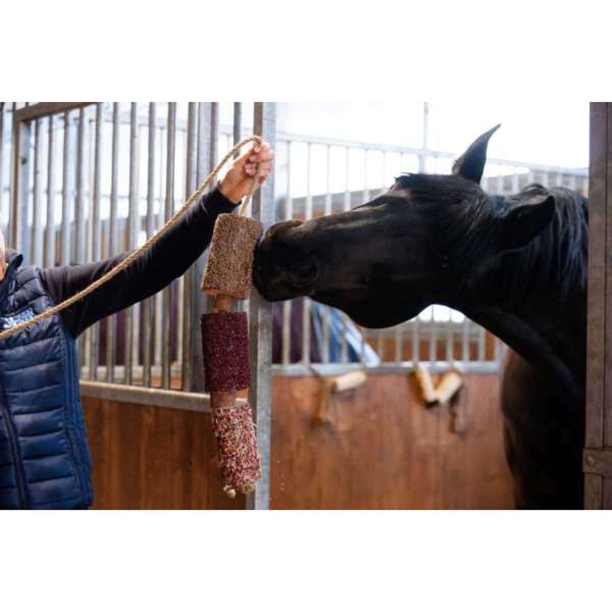 Candy Horse Love Juguete para Masticar Vol Liefde