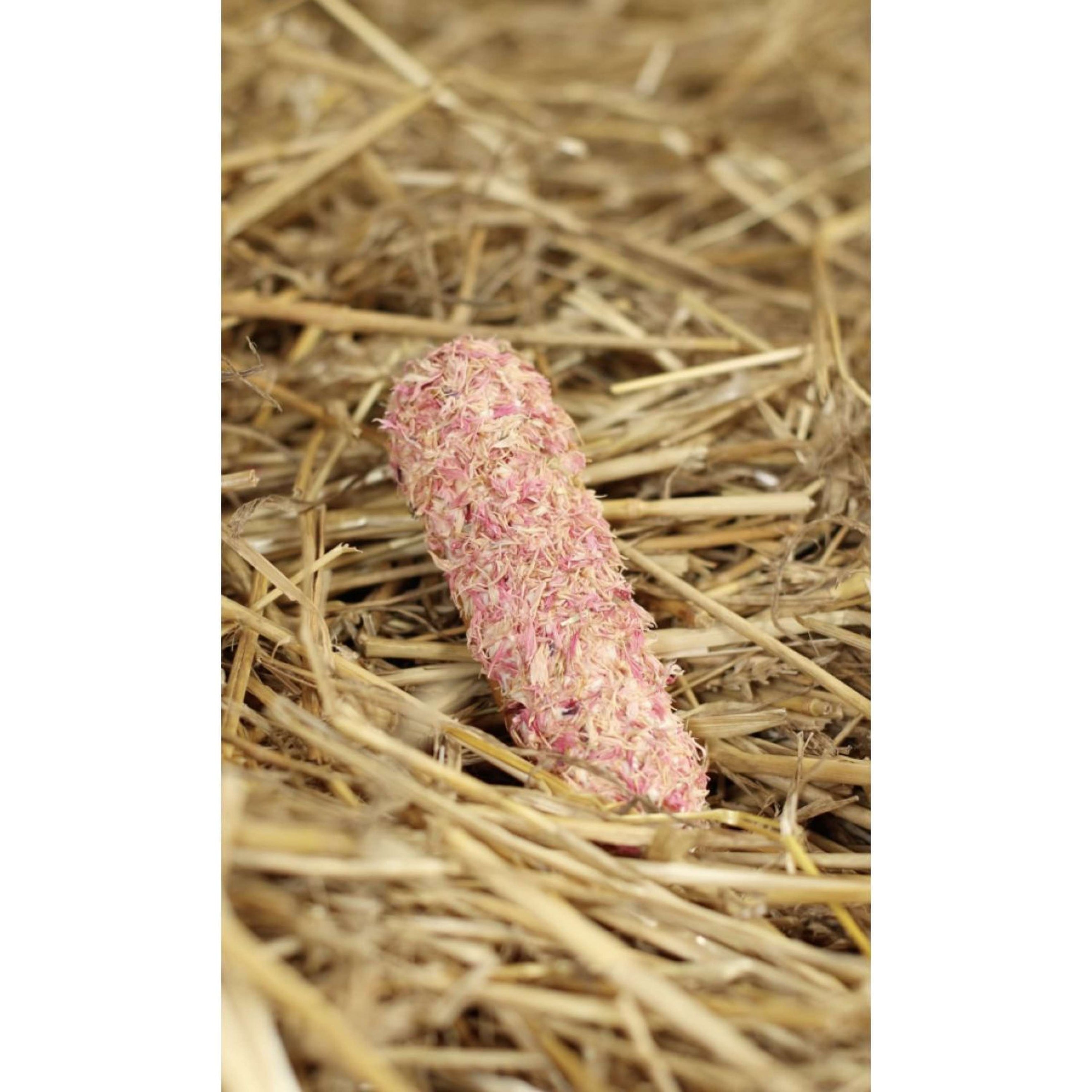 Candy Horse Galletaa Pink Cornflower Èclair Candy Horse Galletaa Pink Cornflower Èclair