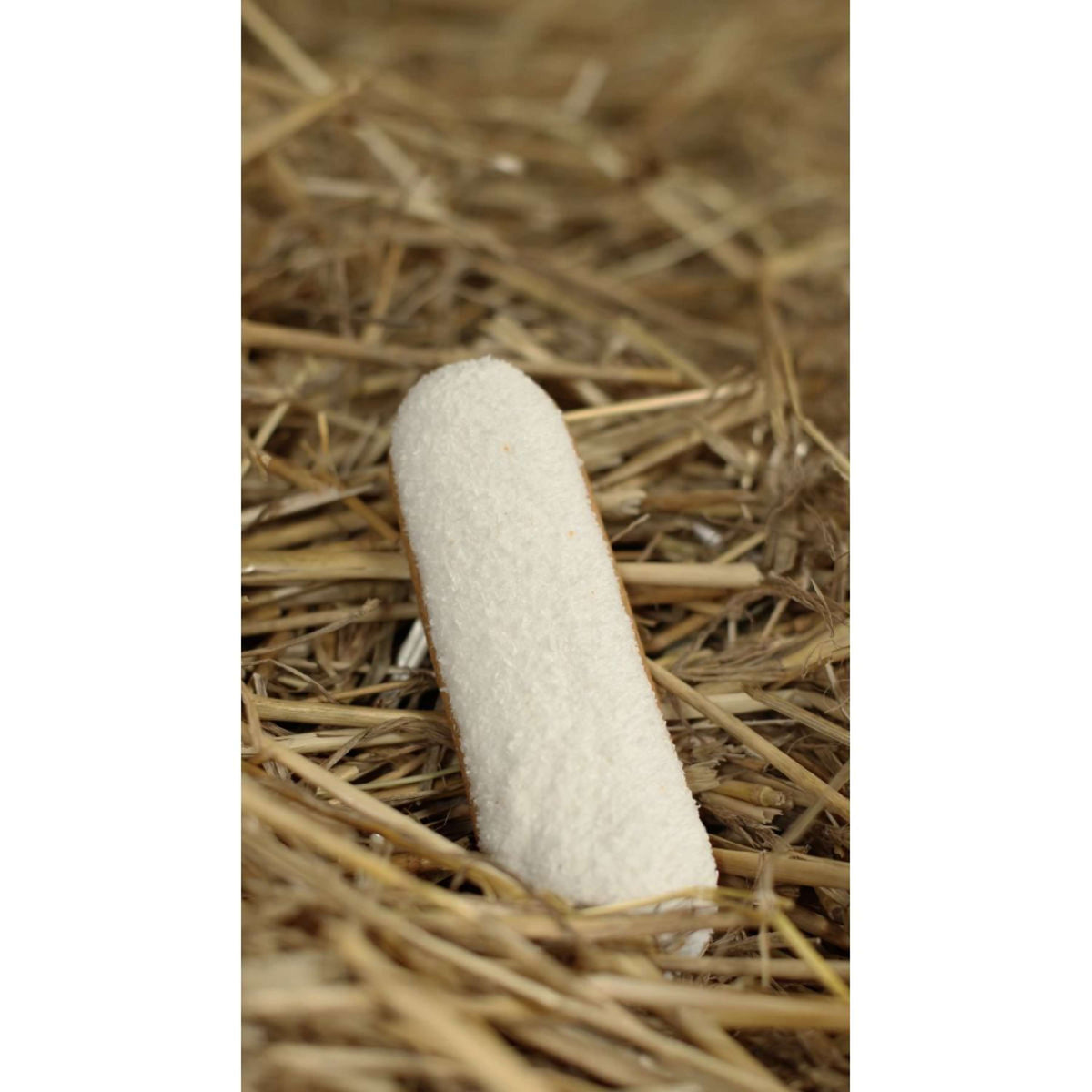 Candy Horse Galletaa Coconut Eclair