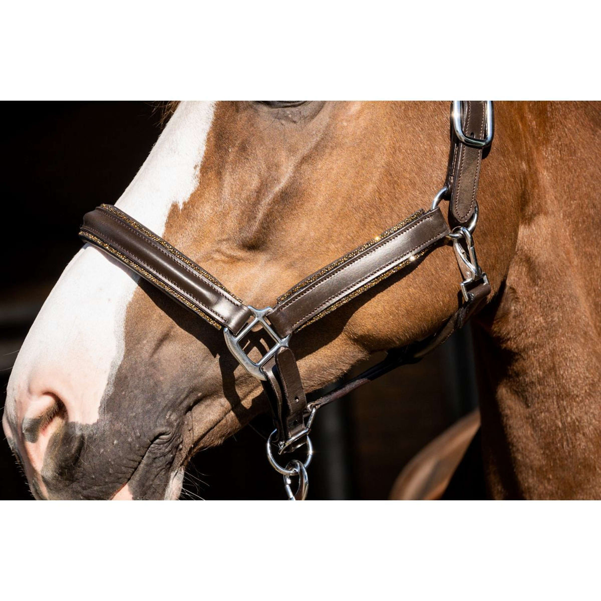 HB Showtime Cabezada Glitty Marron<>Oro<>Amarillo