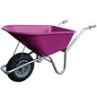 Fucsia
