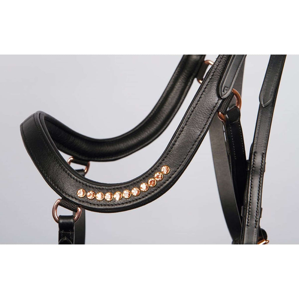 Harry's Horse Brida Anatomisch Negro