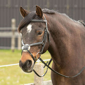 Harry's Horse Brida Mexicana Negro