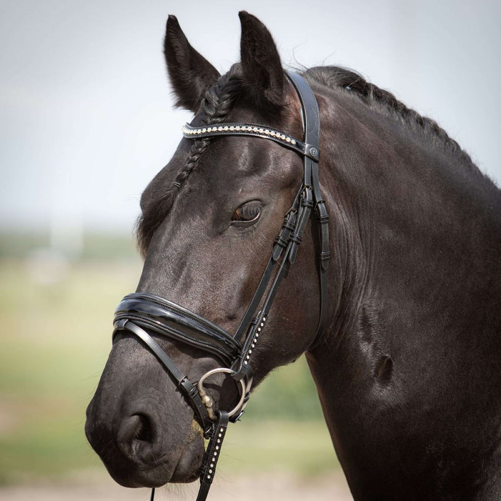 Harry's Horse Cabezada Diamond Lacque Negro