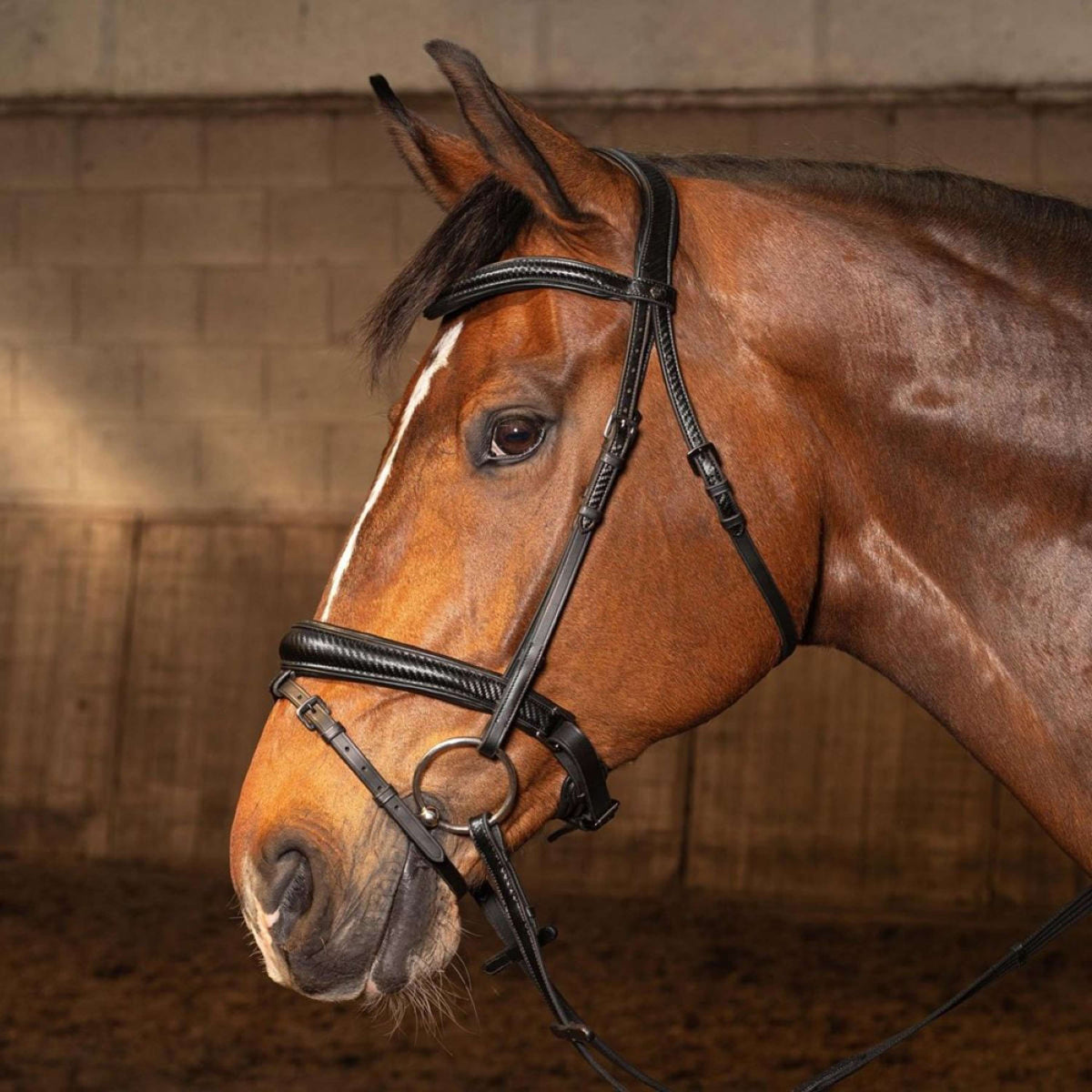 Harry's Horse Brida Soft Carbon Black Edition Negro