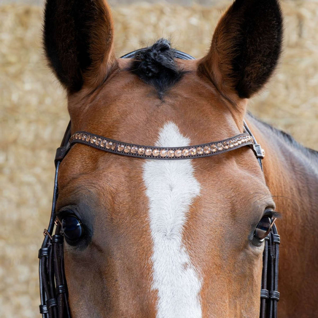 Harry's Horse Brida Copper Marron
