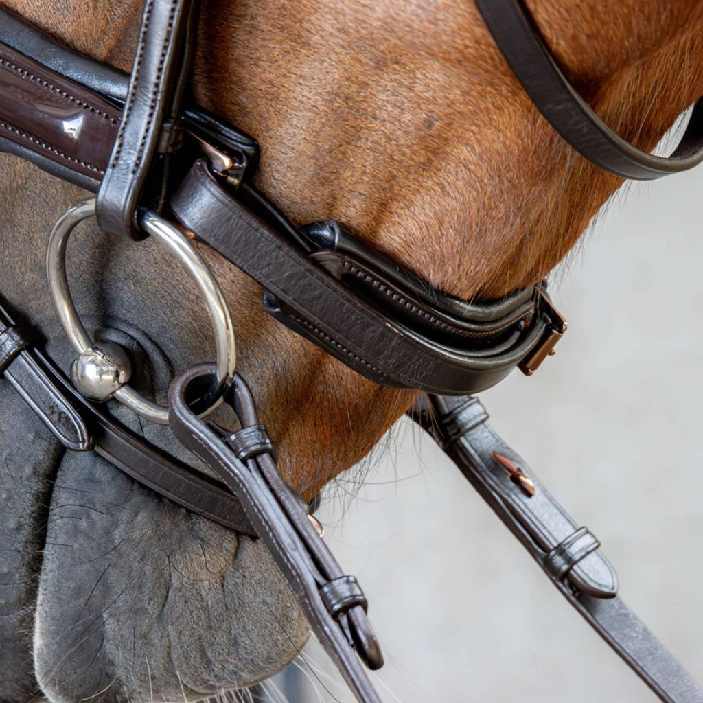 Harry's Horse Brida Copper Marron