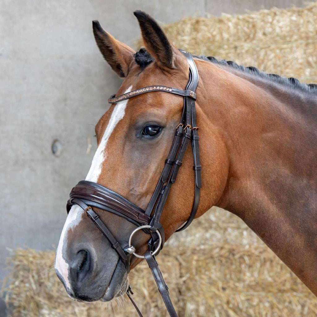 Harry's Horse Brida Copper Marron