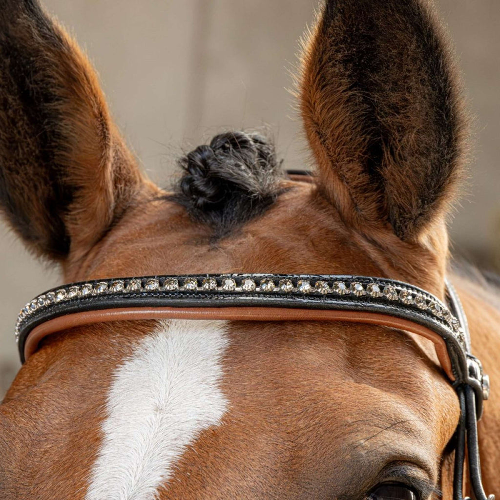 Harry's Horse Brida Black Cognac Negro