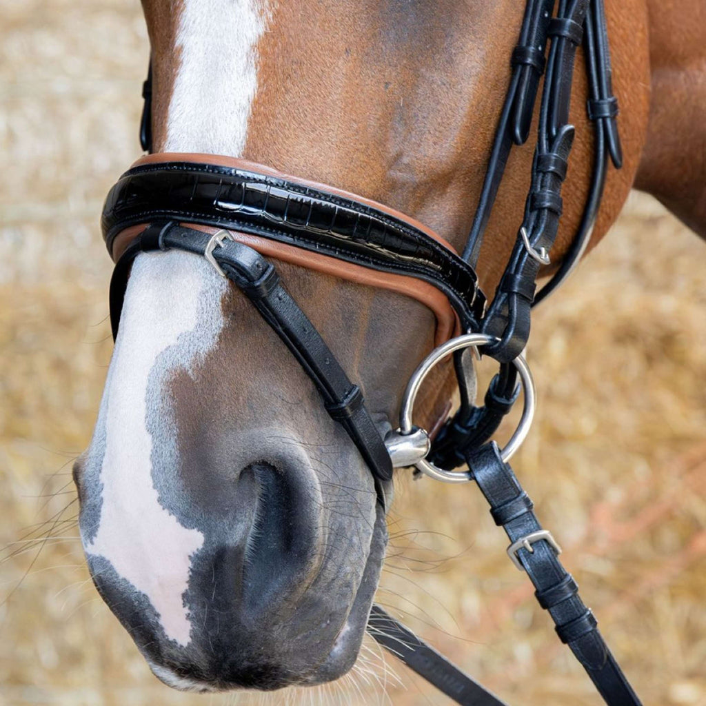 Harry's Horse Brida Black Cognac Negro