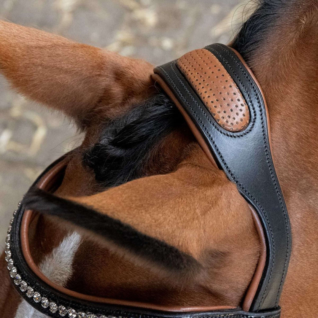 Harry's Horse Brida Black Cognac Negro