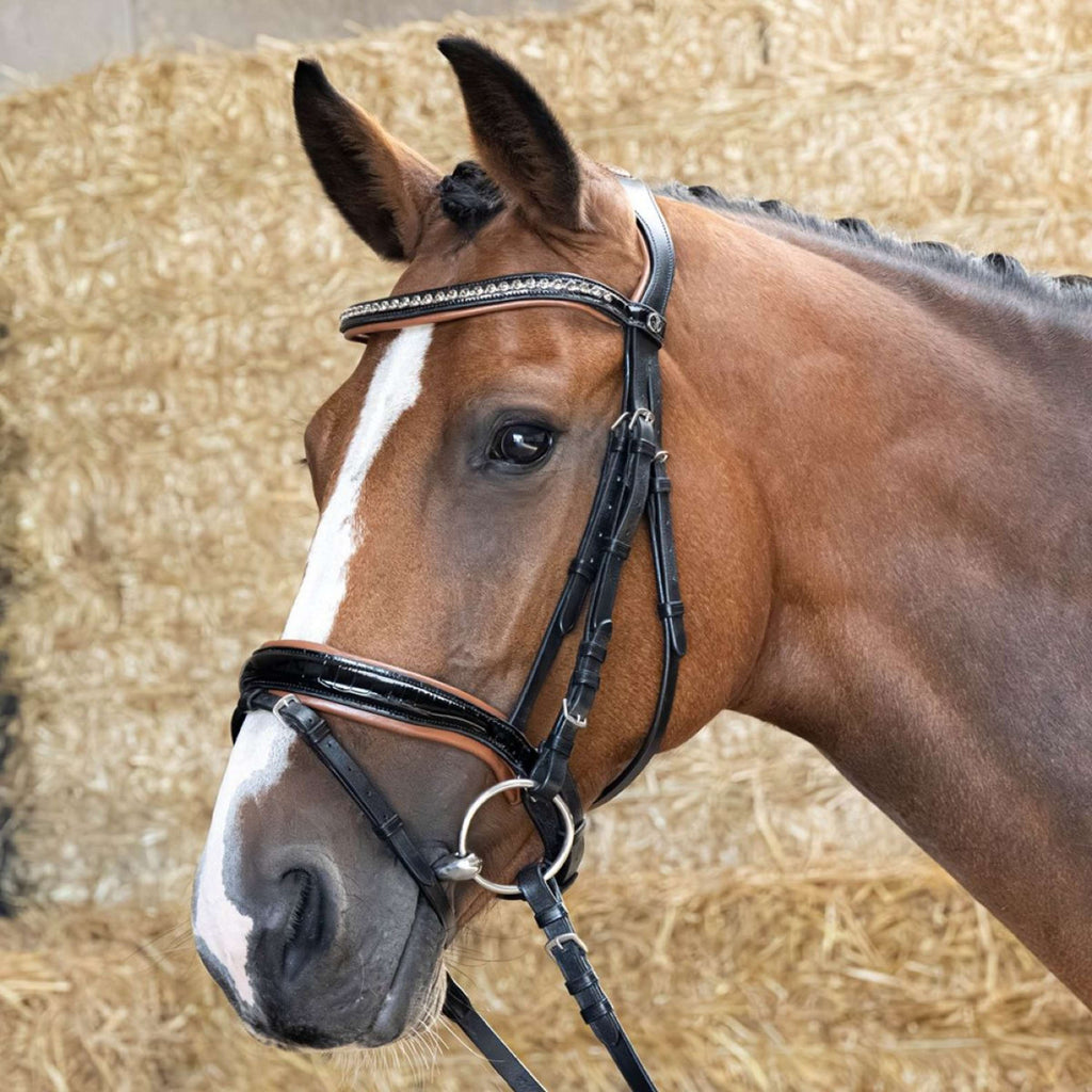 Harry's Horse Brida Black Cognac Negro