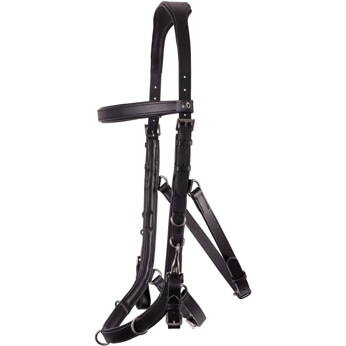 Harry's Horse Brida Leder Anatomic Negro
