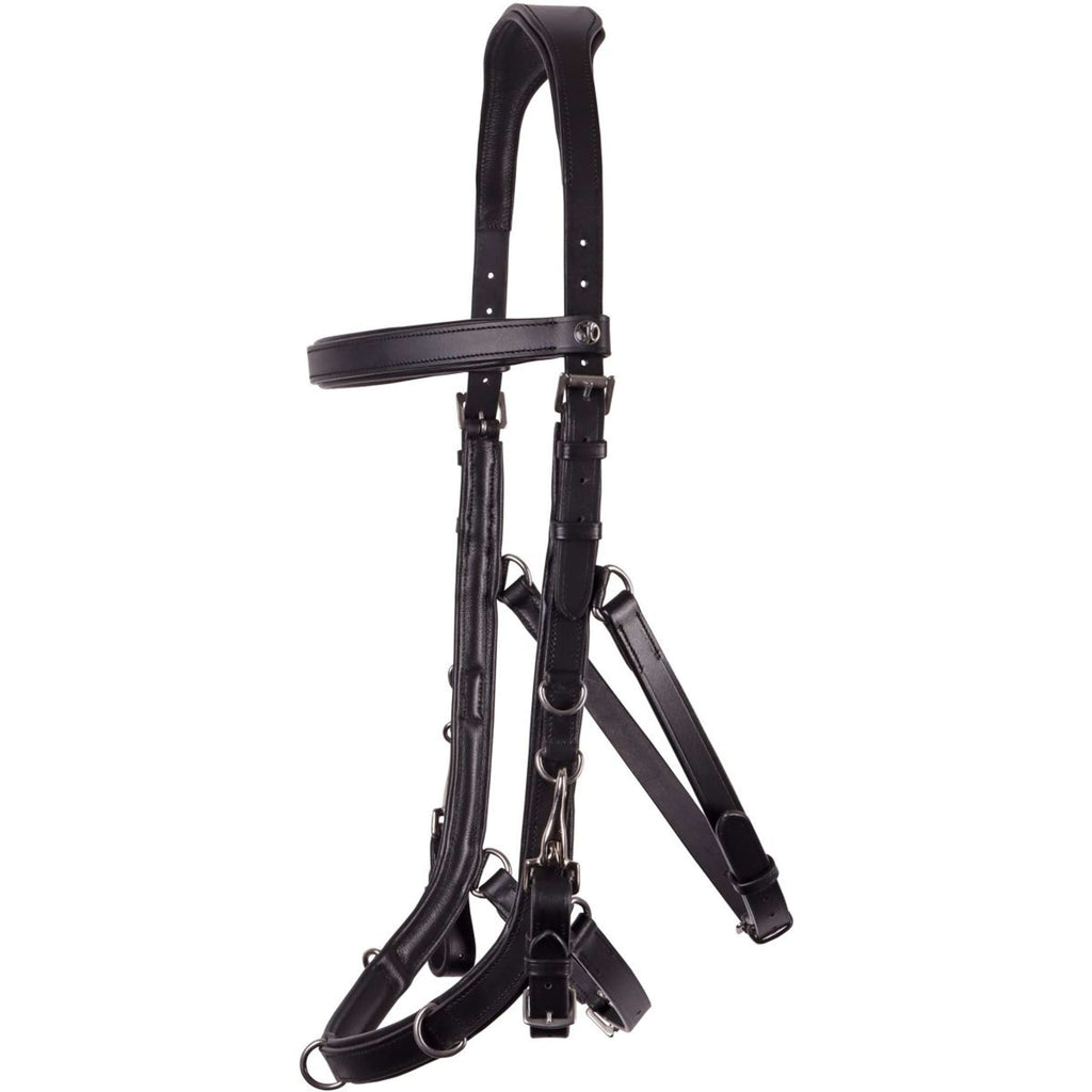 Harry's Horse Brida Leder Anatomic Negro