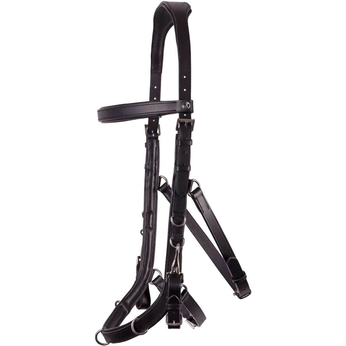 Harry's Horse Brida Leder Anatomic Negro