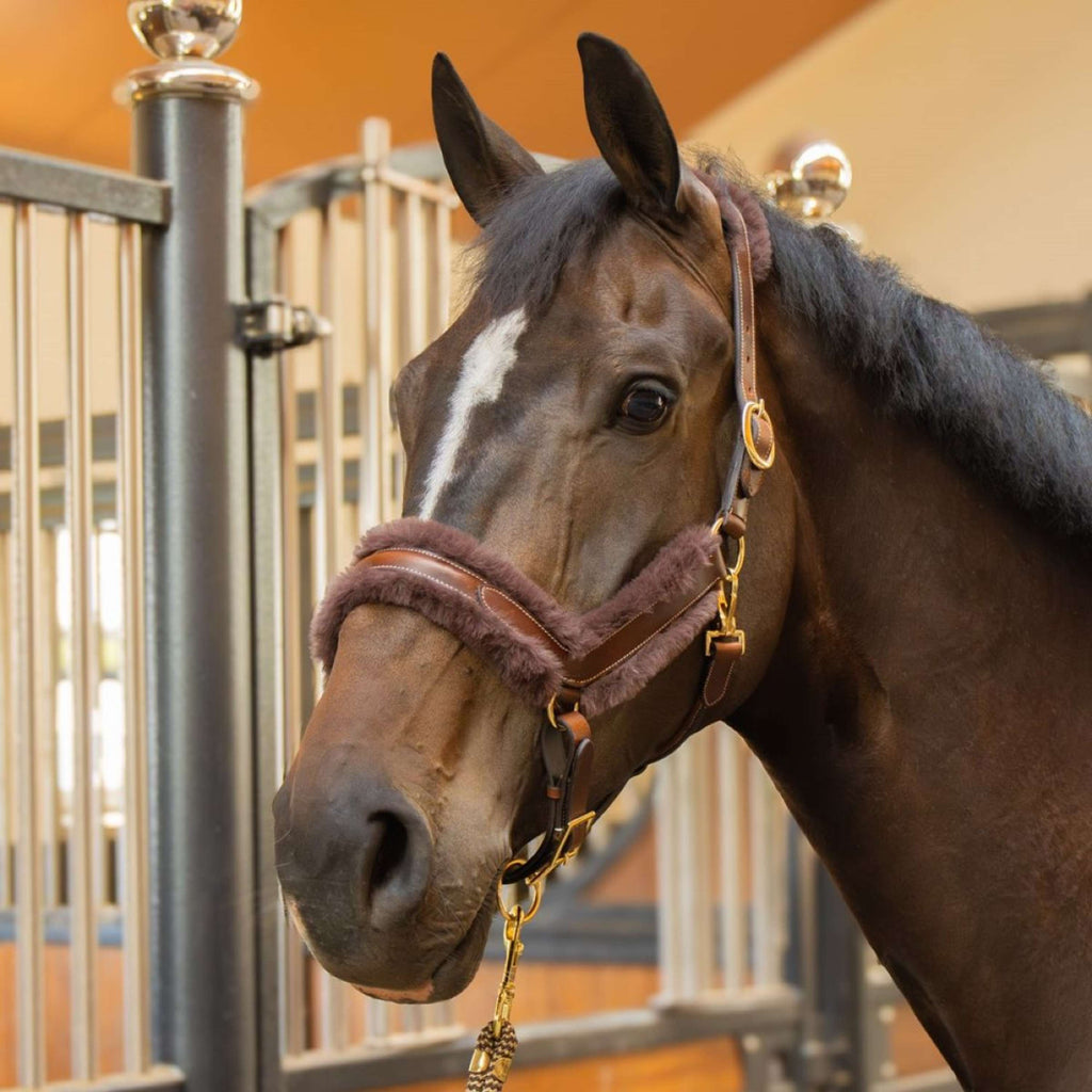 Harry's Horse Cabestro Leder Anatomic Furry Matt Marron