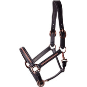 Harry's Horse Cabezada Leder Metallic Negro/Oro rosa