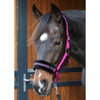 Harry's Horse Cabestro Lyrics Quotes Fuchsia