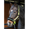 Harry's Horse Cabestro Lyrics Quotes Lima